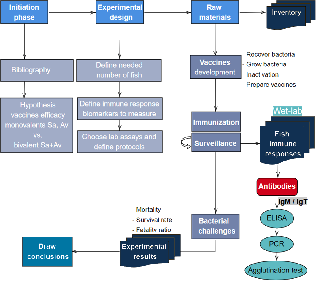 Conceptual framework