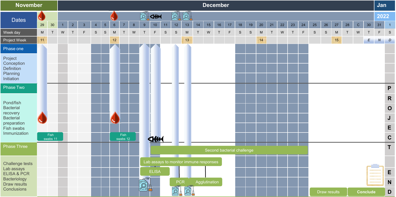 The project planning horizontal timeline